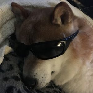 Meet your Posher, Lesa